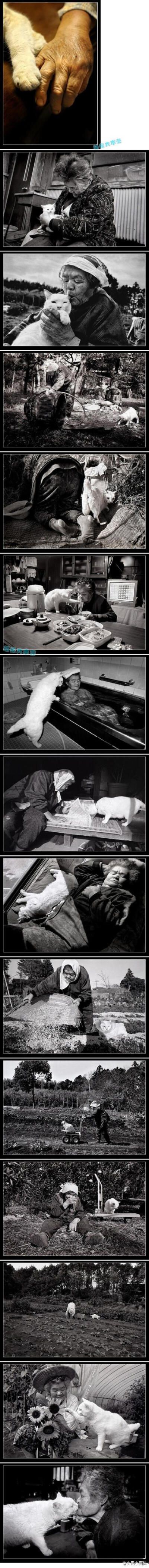 【一组让人感动的照片】最近，网络上流传着一组日本年轻女摄影师关于＂祖母与猫＂的照片！送给所有爱猫的朋友们，让我们一起来分享这份平淡日子中的感动，最后深吻那张把我溶化了，爱猫的朋友们，感动没~