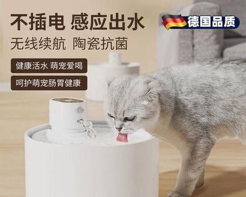 如何科学喂养45天大的幼犬（从饮食、营养到生长发育，全方位关爱你的狗狗）
