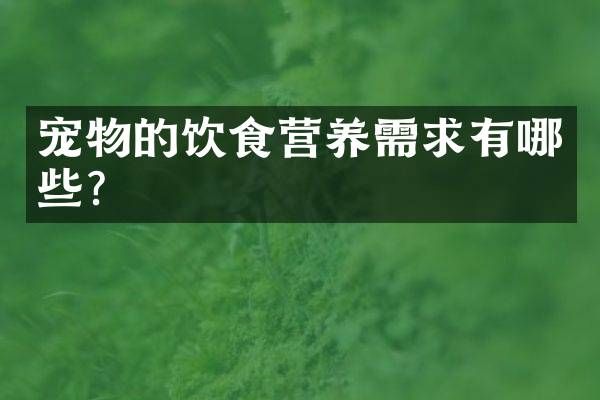 宠物的饮食营养需求有哪些?
