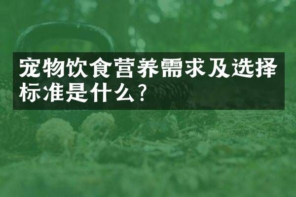 宠物饮食营养需求及选择标准是什么?