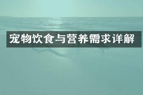 宠物饮食与营养需求详解