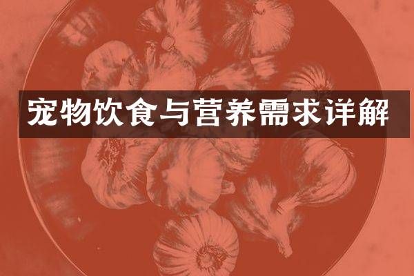 宠物饮食与营养需求详解