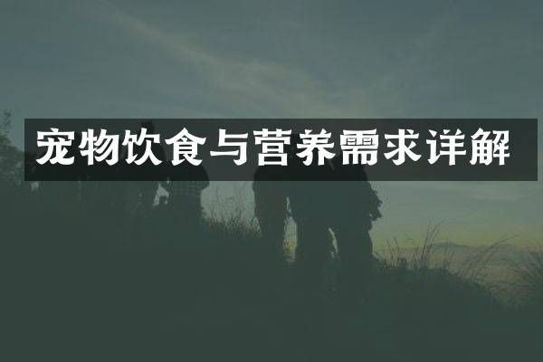 宠物饮食与营养需求详解