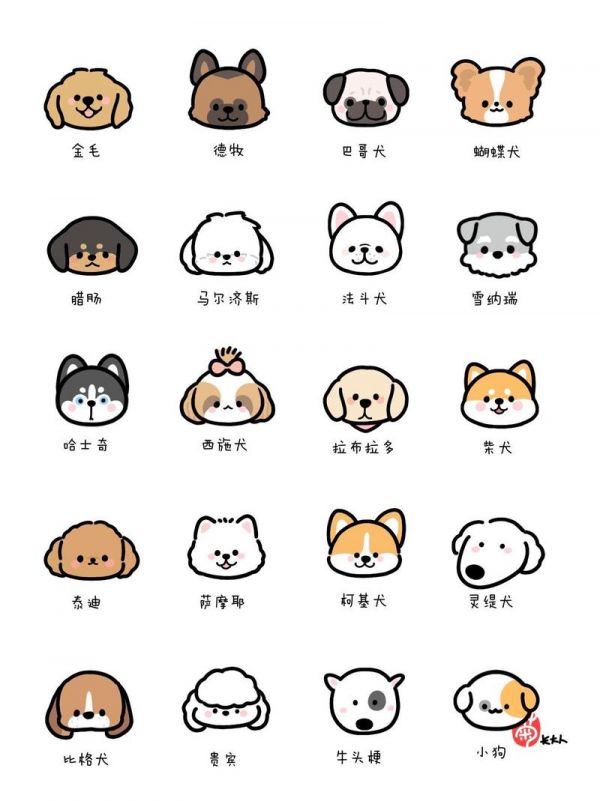 狗狗头像第二期简笔画狗狗画画世界萌物图鉴抖音