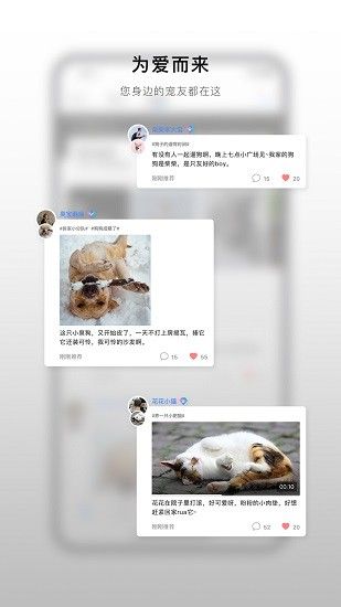 小它宠物社交 2