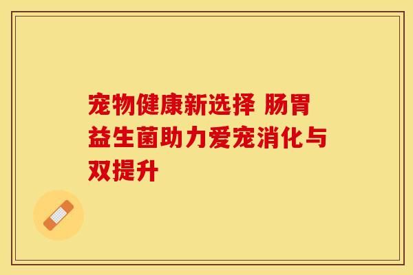 宠物健康新选择 肠胃益生菌助力爱宠消化与双提升
