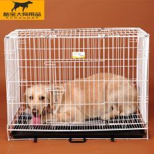 宠物托盘清洁小窍门