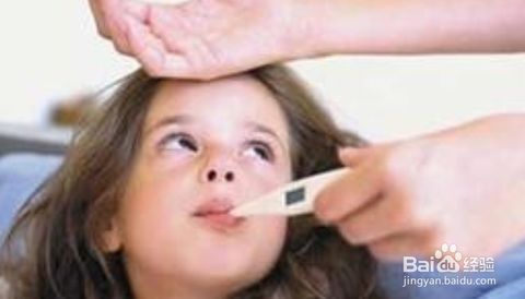 宠物退烧小窍门