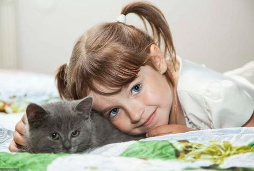 “小区宠物乐活指南，和谐共处小窍门”