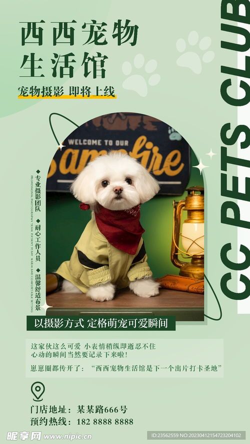 宠它生活馆：宠物日常小窍门集锦