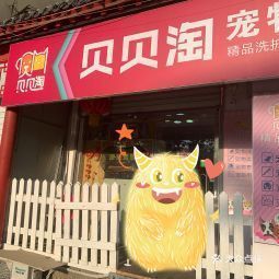 宠它生活馆：宠物日常小窍门集锦