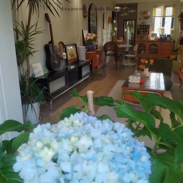 宇宙gmen，宇宙农民宠物蛇