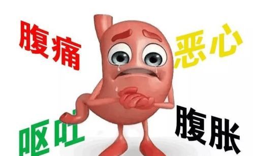 宠物消瘦常见原因：饮食不足、消化不良、疾病困扰。