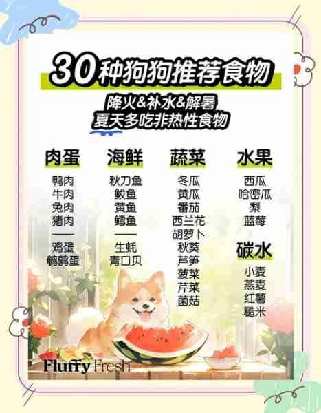 狗菜谱美食做法，美味健康的宠物美食指南