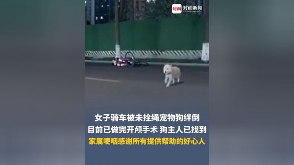 Thumbplayer Poster Plugin Image