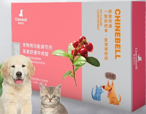 宠物狗肾结石应该怎么治