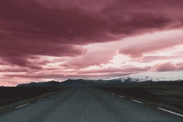 领养宠物狗在什么网，领养宠物狗在什么网站