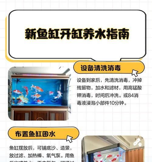 鱼缸中的水位对养鱼有何影响？（探讨适宜的水位，打造理想的鱼缸环境）