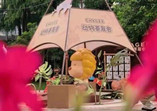 陆龟“赛跑”、熊猫玩足球、猕猴花式“跳水”……“动物全运会”开赛