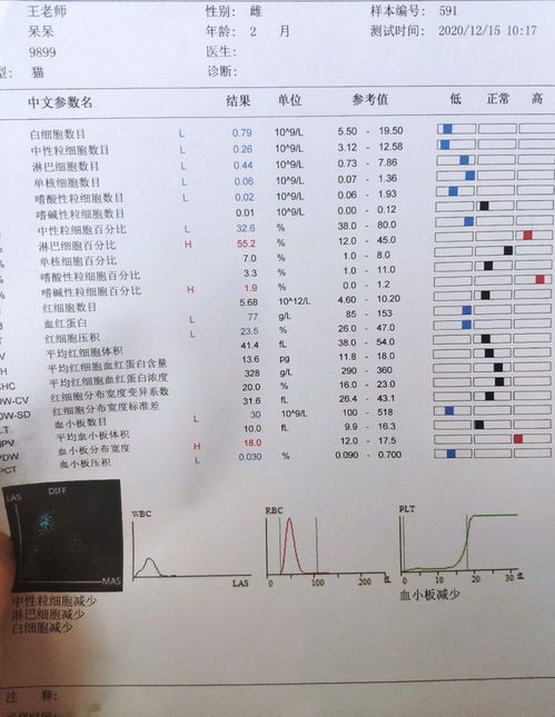 宠物医院验血型，猫咪血型检测要花多少钱？