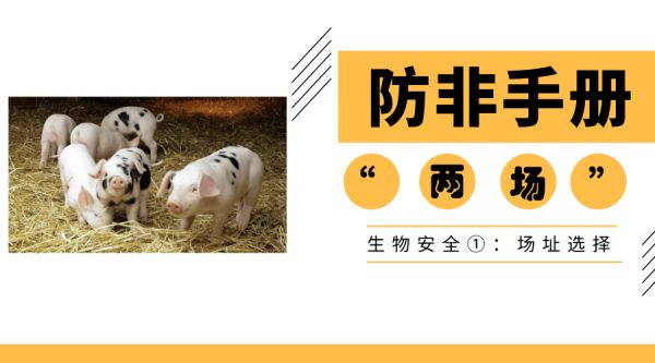 防非手册 | “两场”（规模场和种猪场）的生物安全①：场址选择
