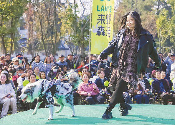 活动现场 本报记者 陶磊 摄