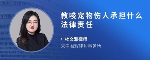 教唆宠物伤人承担什么法律责任