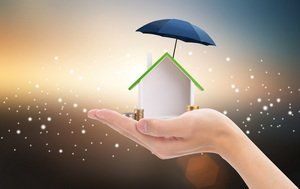 收养的效力包括哪些