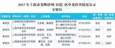宠物饮食：小猫禁食水果清单