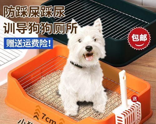 训练宠物狗狗自主卫生-（从小培养良好的卫生习惯，让你的宠物狗狗变得更加可爱和健康。）