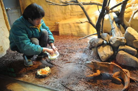 家有小孩不要养蛇做宠物