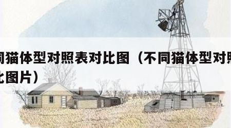 不同猫体型对照表对比图（不同猫体型对照表对比图片）