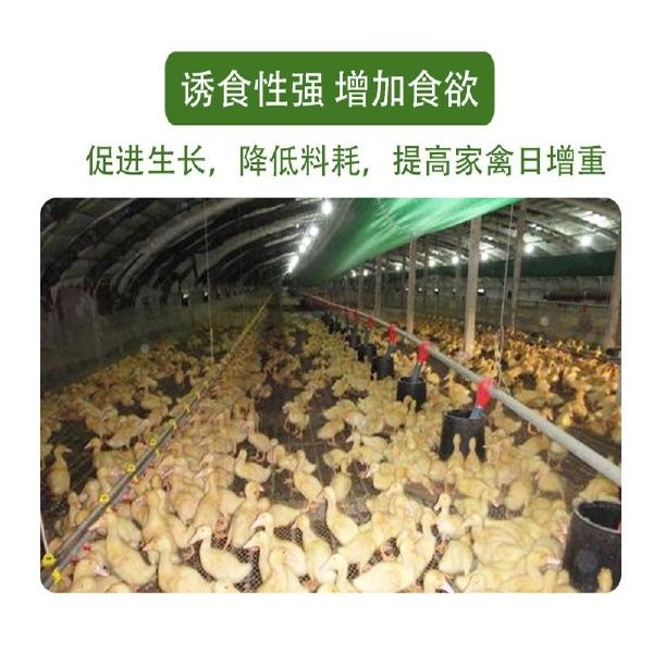 秘鲁鱼粉高蛋白鱼骨粉养殖狐狸貂仓鼠鸟饲料宠物猫狗粮添加剂