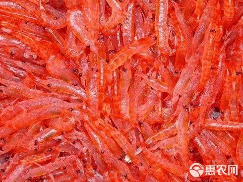 磷虾粉水产养虾养鱼小龙虾罗飞观赏鱼饵料钓鱼螃蟹宠物料养猪鸡