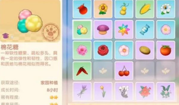 摩尔庄园里怎样喂养宠物饲料