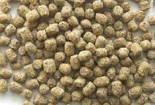 水产饲料在喂养时主要事项