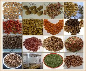 《宠物鱼饲料喂养全攻略：简单易行，科学喂食》