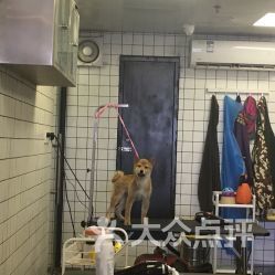 福建宠物护理中专，专业宠物护理培训