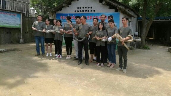 养蛇技术基地_正宗特种养殖动物-桃江县黄泥田蛇类养殖场