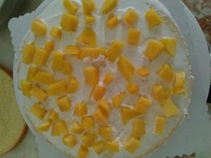 卡通小狗蛋糕的做法 步骤1