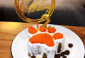 狗狗蛋糕（无面粉）无烤箱版