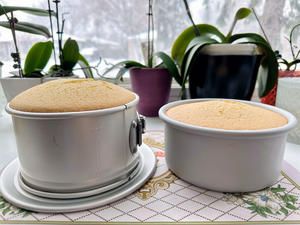 超～可爱的小狗蛋糕(狗可吃)的做法 步骤1