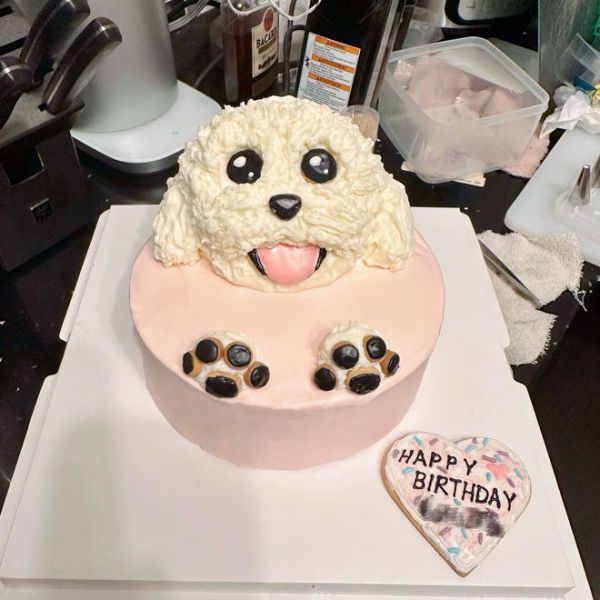 超～可爱的小狗蛋糕(狗可吃)的做法