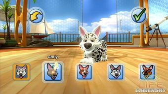 宠物游戏有哪些种类名称（宠物游戏有哪些种类名称图片）