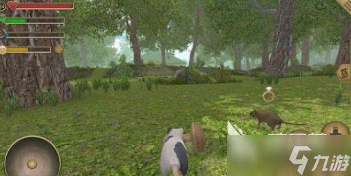 啮齿动物游戏手机版有哪些 2025好玩的动物游戏分享