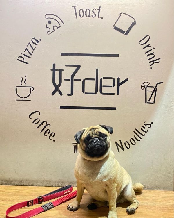 高雄寵物餐廳_好Der