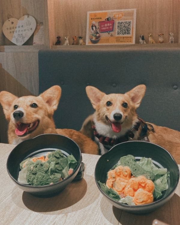 台北寵物餐廳_稻邸D. House