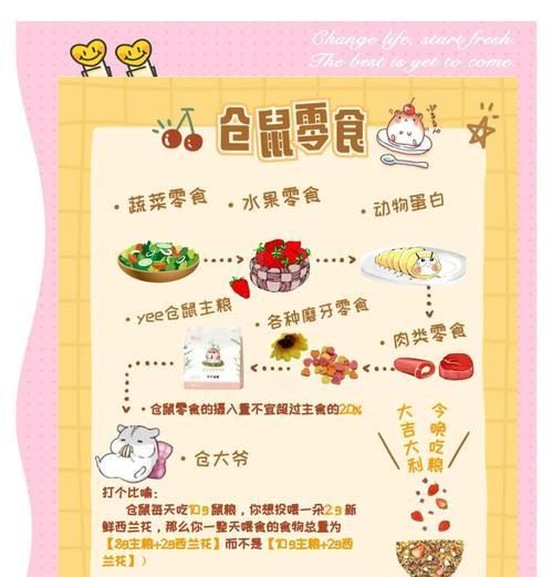 仓鼠健康饮食指南（多样化饮食有助于提高仓鼠健康水平）