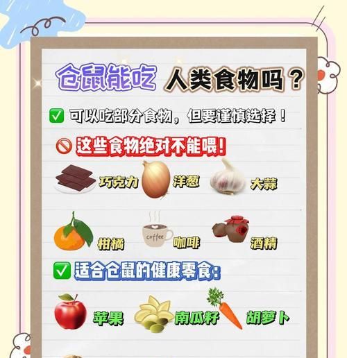 仓鼠健康饮食指南（多样化饮食有助于提高仓鼠健康水平）