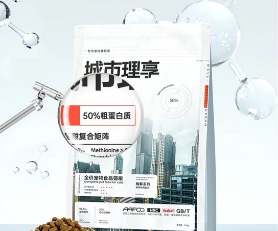 城市理享｜愿每只猫咪健康成长，是我们的理想